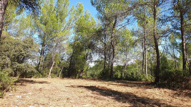 Ma-Cabane - Vente Terrain Saint-Clément-de-Rivière, 2123 m²