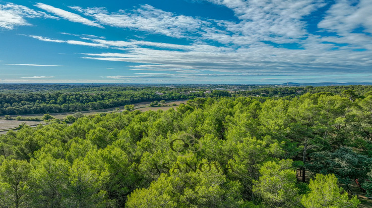 Ma-Cabane - Vente Terrain SAINT CLEMENT DE RIVIERE, 5300 m²
