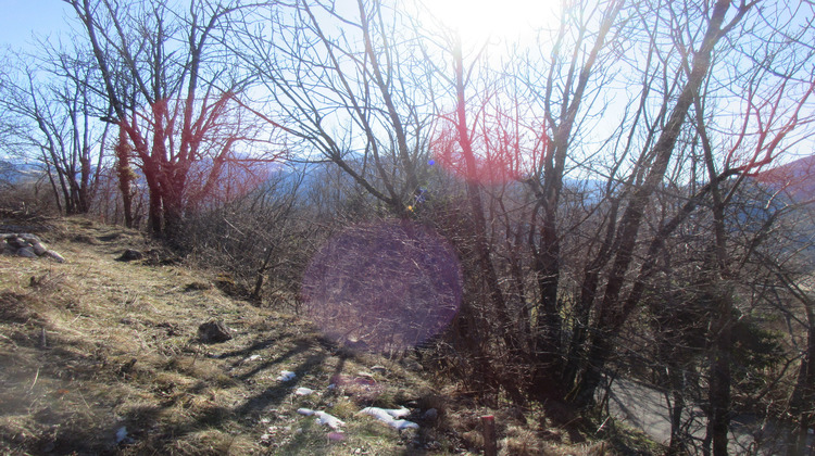 Ma-Cabane - Vente Terrain Saint-Crépin, 340 m²