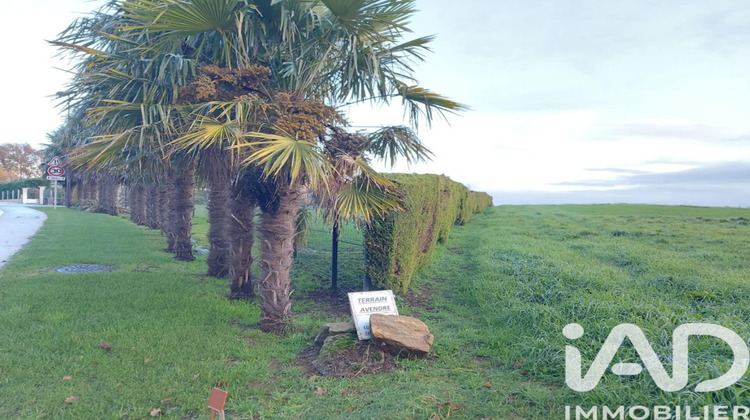 Ma-Cabane - Vente Terrain Saint-Cyr-des-Gâts, 4661 m²