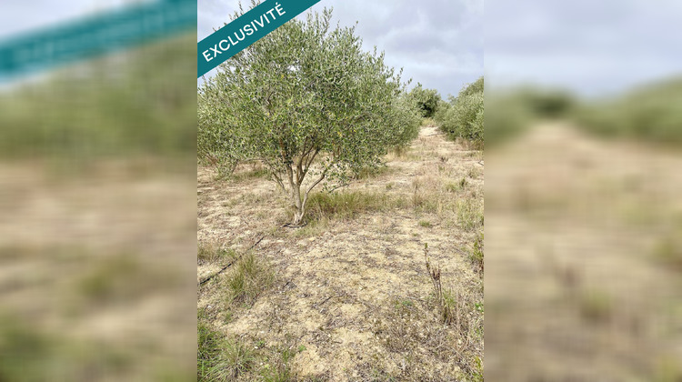 Ma-Cabane - Vente Terrain Saint-Cyr-sur-Mer, 4400 m²