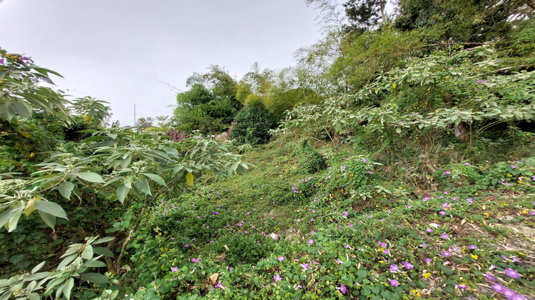 Ma-Cabane - Vente Terrain Saint-Denis, 578 m²