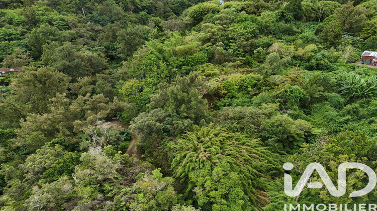 Ma-Cabane - Vente Terrain Saint-Denis, 1250 m²