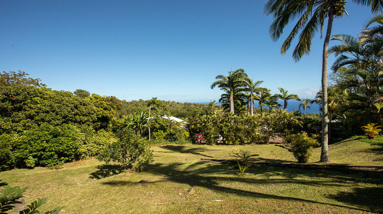 Ma-Cabane - Vente Terrain SAINT-DENIS, 776 m²