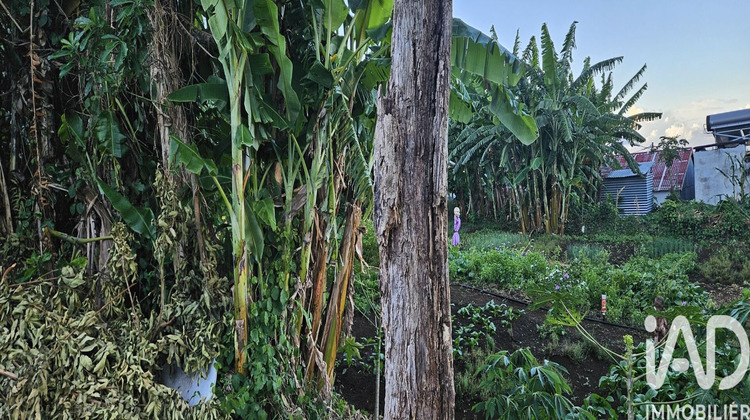 Ma-Cabane - Vente Terrain Saint-Denis, 500 m²