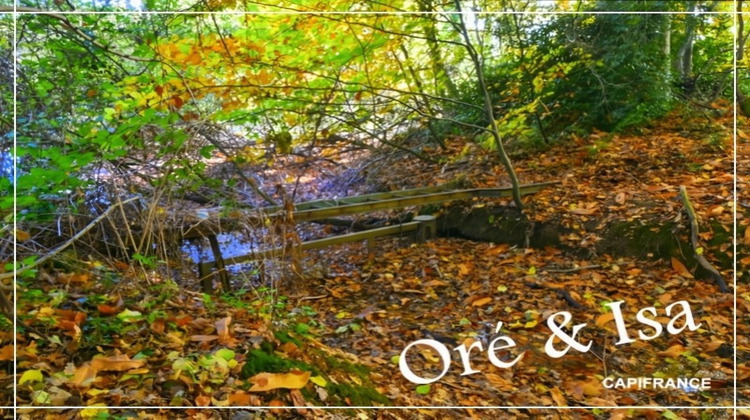 Ma-Cabane - Vente Terrain SAINT DESIRE, 49655 m²