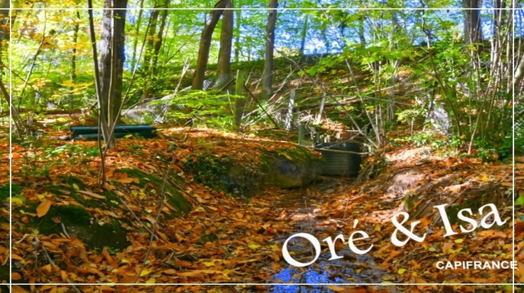 Ma-Cabane - Vente Terrain SAINT DESIRE, 49655 m²