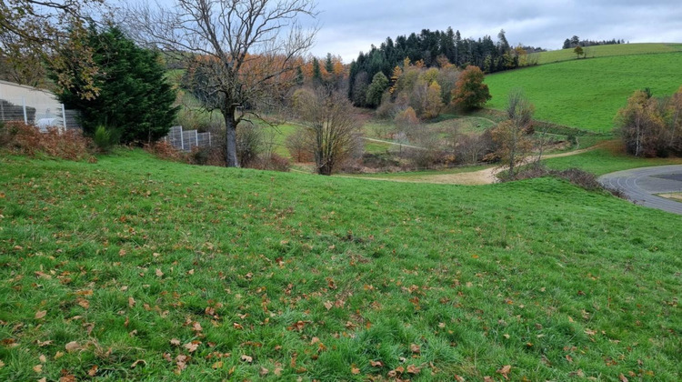 Ma-Cabane - Vente Terrain SAINT DIDIER EN VELAY, 6800 m²