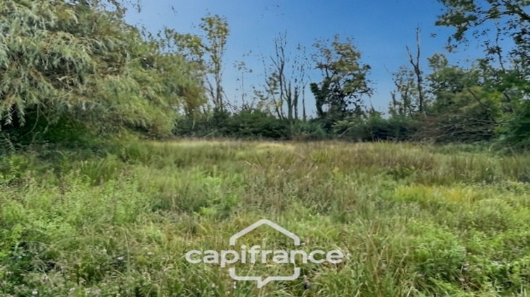 Ma-Cabane - Vente Terrain SAINT DOULCHARD, 41537 m²