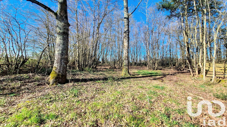 Ma-Cabane - Vente Terrain Saint-Firmin-des-Bois, 3380 m²