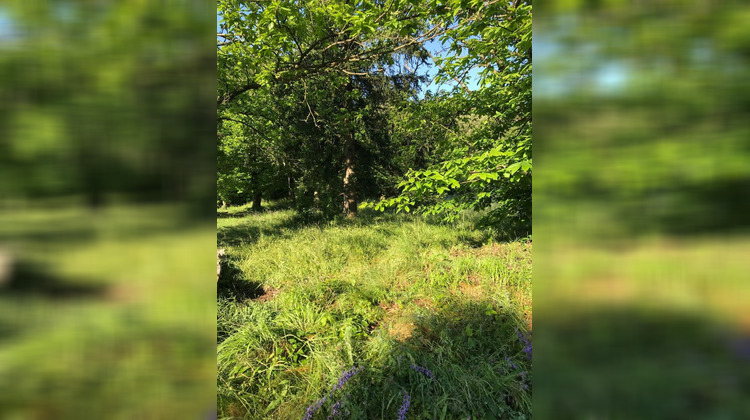 Ma-Cabane - Vente Terrain SAINT FLORENT SUR AUZONNET, 0 m²