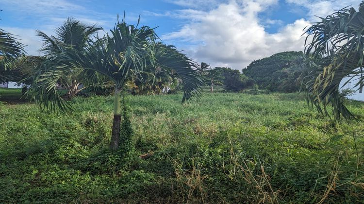 Ma-Cabane - Vente Terrain Saint-François, 730 m²