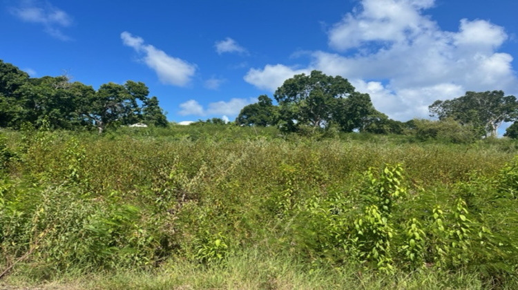 Ma-Cabane - Vente Terrain Saint-François, 1215 m²