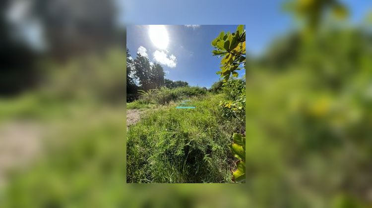 Ma-Cabane - Vente Terrain Saint-François, 1288 m²