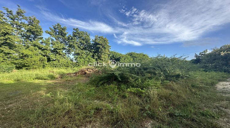 Ma-Cabane - Vente Terrain Saint-François, 1288 m²