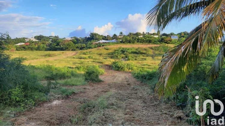 Ma-Cabane - Vente Terrain Saint-François, 1256 m²