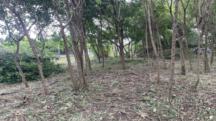 Ma-Cabane - Vente Terrain Saint-François, 1138 m²