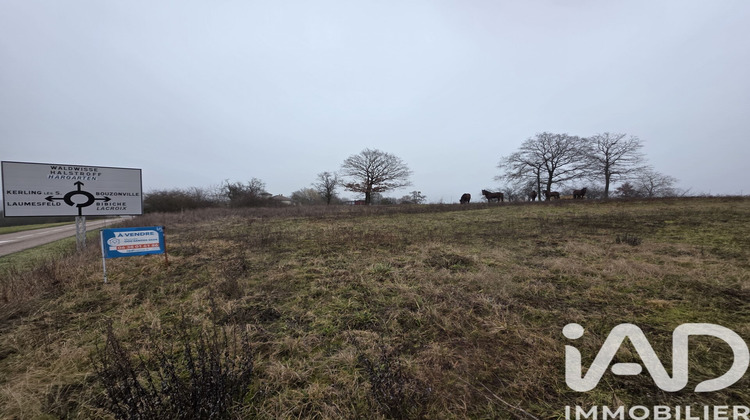 Ma-Cabane - Vente Terrain Saint-François-Lacroix, 4187 m²