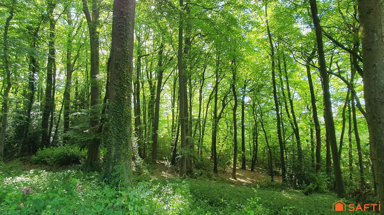 Ma-Cabane - Vente Terrain Saint-Gatien-des-Bois, 4099 m²