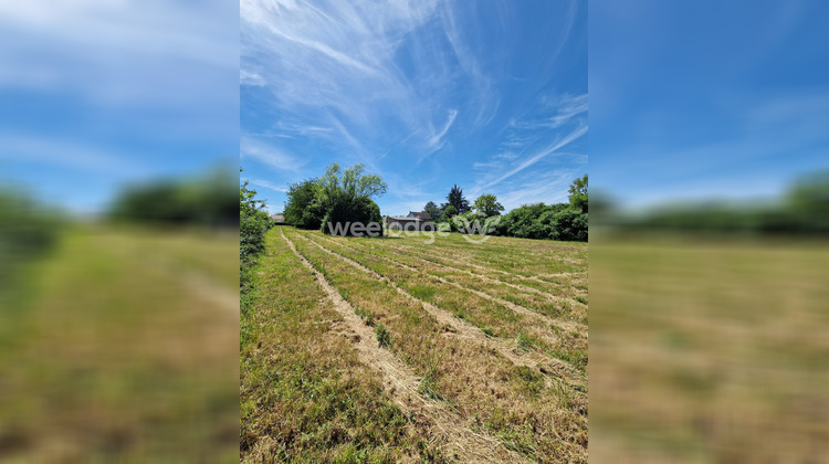 Ma-Cabane - Vente Terrain Saint-Gaultier, 3924 m²