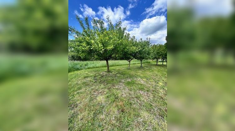 Ma-Cabane - Vente Terrain SAINT-GAUZENS, 4411 m²