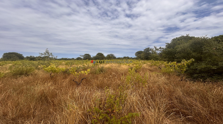 Ma-Cabane - Vente Terrain Saint-Génis-des-Fontaines, 5000 m²