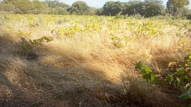 Ma-Cabane - Vente Terrain Saint-Genis-des-Fontaines, 5000 m²