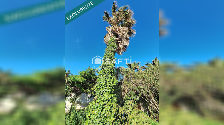 Ma-Cabane - Vente Terrain Saint-Georges-d'Oleron, 310 m²