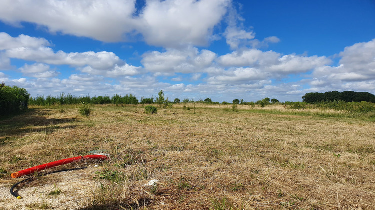 Ma-Cabane - Vente Terrain Saint-Georges-de-Didonne, 1163 m²