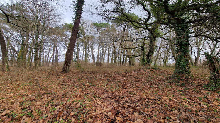 Ma-Cabane - Vente Terrain Saint-Geours-de-Maremne, 4597 m²