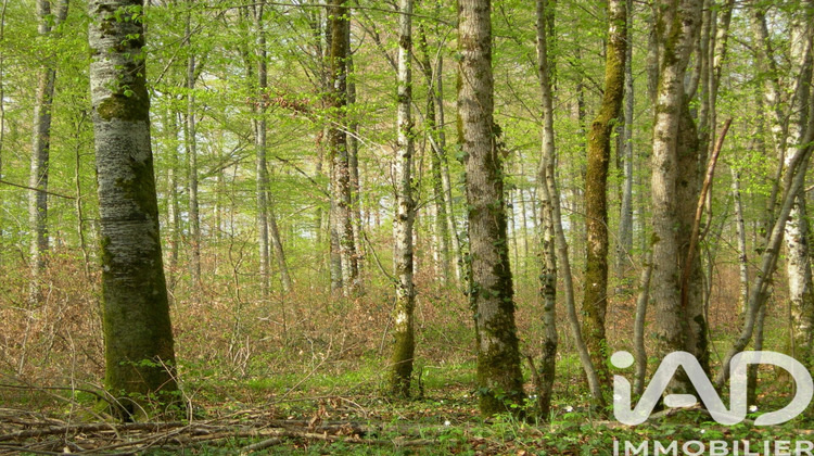 Ma-Cabane - Vente Terrain Saint-Germain-de-Grave, 3058 m²