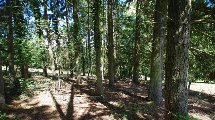 Ma-Cabane - Vente Terrain SAINT GERMAIN DES PRES, 2663 m²