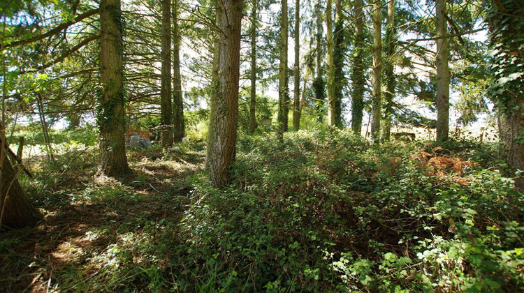 Ma-Cabane - Vente Terrain SAINT GERMAIN DES PRES, 2663 m²