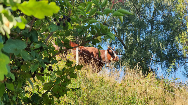 Ma-Cabane - Vente Terrain Saint-Gervais-les-Bains, 921 m²