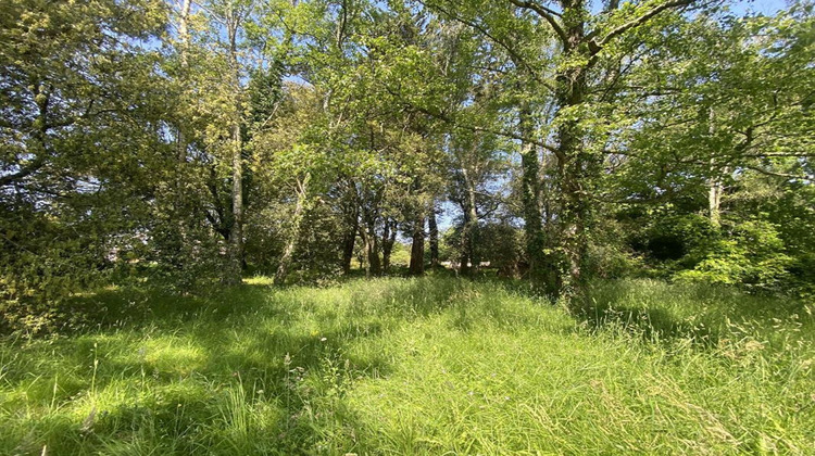 Ma-Cabane - Vente Terrain SAINT GILDAS DE RHUYS, 1200 m²