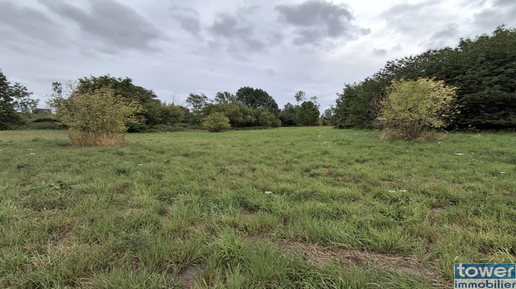 Ma-Cabane - Vente Terrain Saint-Hilaire-Cottes, 10000 m²