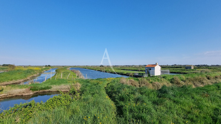 Ma-Cabane - Vente Terrain SAINT-HILAIRE-DE-RIEZ, 21385 m²