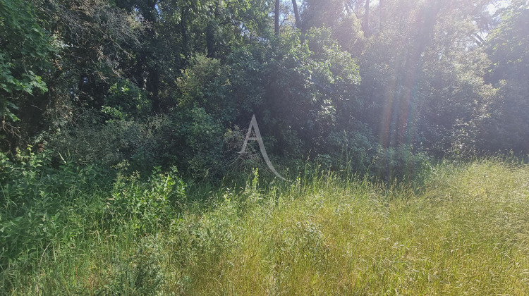 Ma-Cabane - Vente Terrain SAINT-HILAIRE-DE-RIEZ, 954 m²