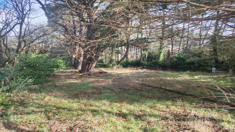 Ma-Cabane - Vente Terrain SAINT-HILAIRE-DE-RIEZ, 2200 m²