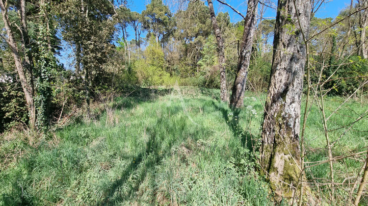 Ma-Cabane - Vente Terrain SAINT-HILAIRE-DE-RIEZ, 800 m²