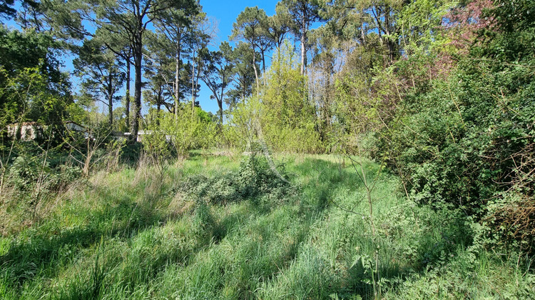 Ma-Cabane - Vente Terrain SAINT-HILAIRE-DE-RIEZ, 2663 m²