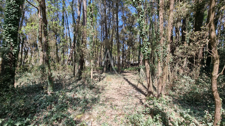 Ma-Cabane - Vente Terrain SAINT-HILAIRE-DE-RIEZ, 2663 m²