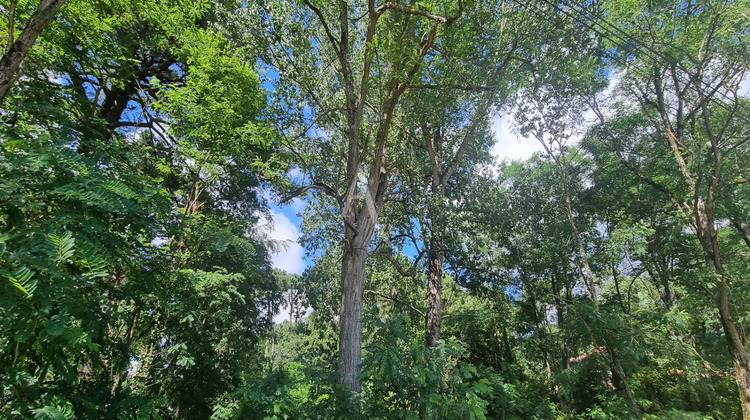 Ma-Cabane - Vente Terrain SAINT-HILAIRE-DE-RIEZ, 3463 m²