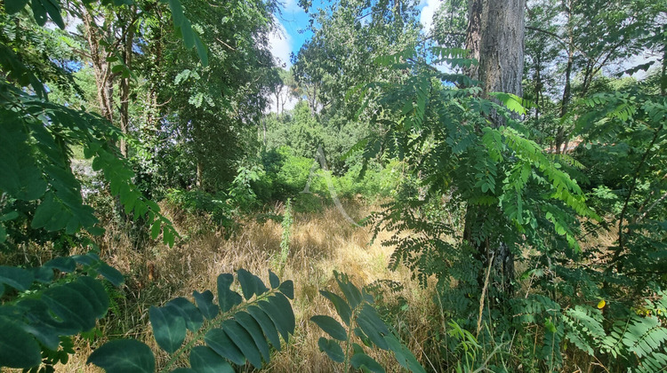 Ma-Cabane - Vente Terrain SAINT-HILAIRE-DE-RIEZ, 3463 m²