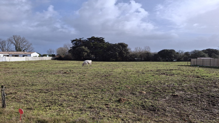 Ma-Cabane - Vente Terrain SAINT HILAIRE DE RIEZ, 696 m²