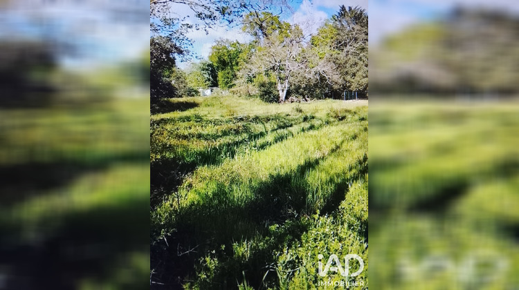 Ma-Cabane - Vente Terrain Saint-Hilaire-de-Riez, 1250 m²