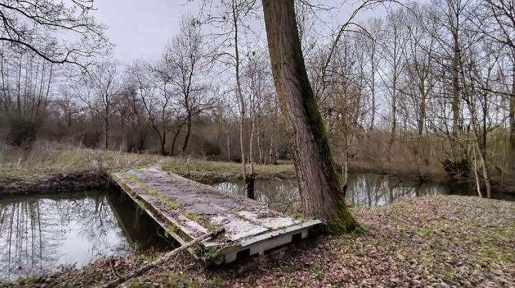 Ma-Cabane - Vente Terrain SAINT HILAIRE LA PALUD, 5000 m²
