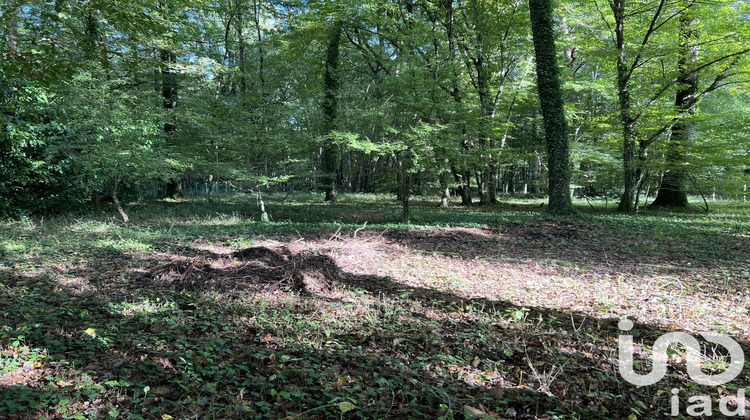 Ma-Cabane - Vente Terrain Saint-Hilaire-les-Andrésis, 3185 m²