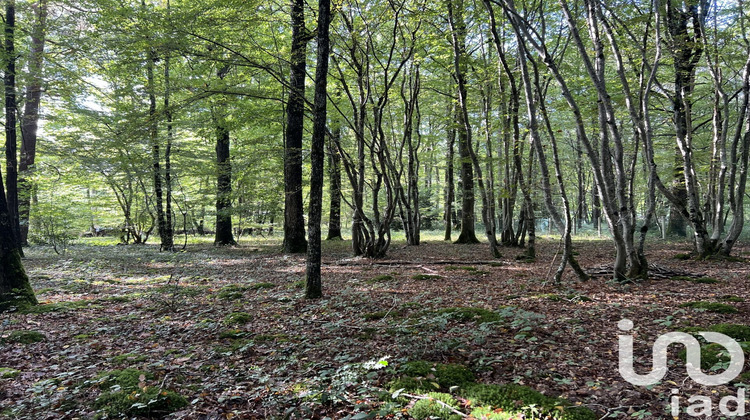 Ma-Cabane - Vente Terrain Saint-Hilaire-les-Andrésis, 3185 m²