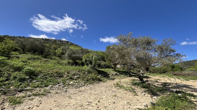 Ma-Cabane - Vente Terrain Saint-Hippolyte-du-Fort, 7173 m²